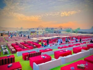 Evening Desert Safari With Premium Seating