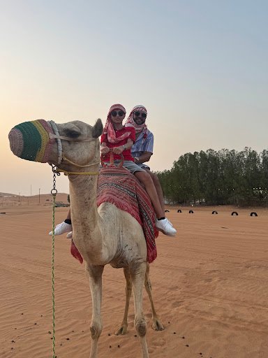 Photo from customer review