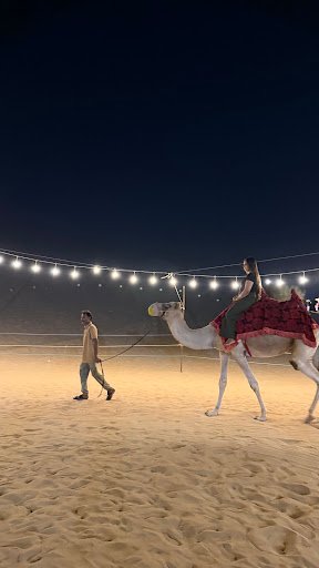 Photo from customer review