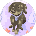 omar almeda profile picture