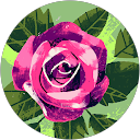 Tara profile picture